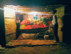 23078417003_910880d061_k