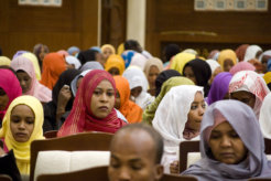 3435000743_242038a0e8_o