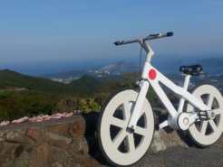 1548078_645589318861478_3918903047435803258_o