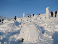 3660185745_e92ac27652_o