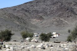 4499690402_66f1c77286_o