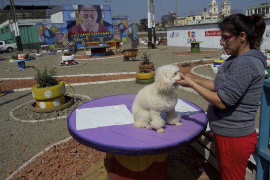 Integration Plaza. This was an empty lot until Occupy Your Street converted it in a plaza. A woman shears her dog in one of the tables of the place.