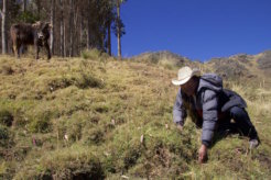 water_sowing_2 Kopie