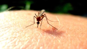 2620971888_e7269eb4f9_o