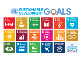 sustainable development goals