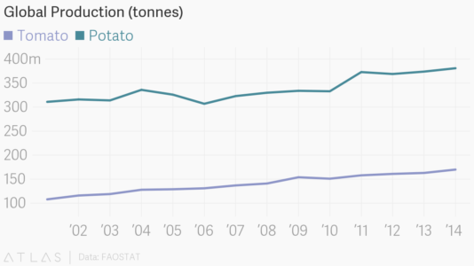 Global production of tomatoes and potatoes.