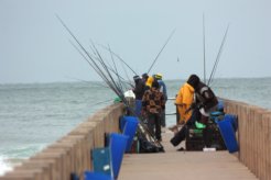 illegal fishing