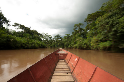 Yasuni National Park 2