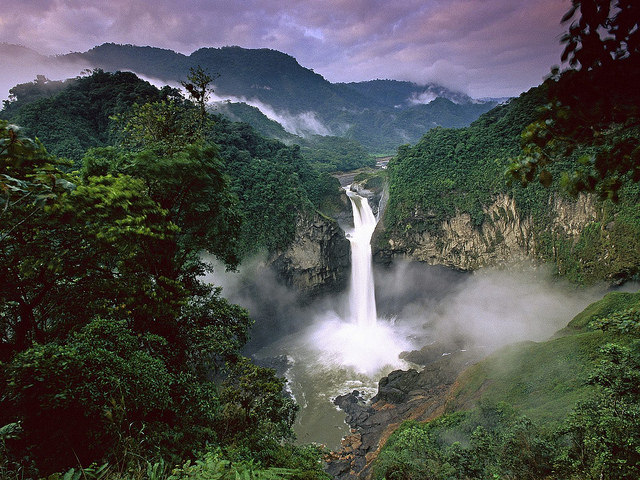 Yasuni National Park 3