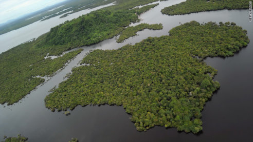 bangladesh mangroves