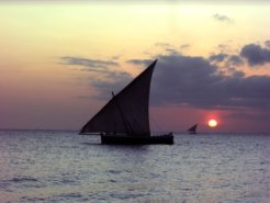 dhow Kenya