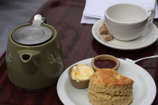 The UK has found a way around its cool climate and started producing his favourite beverage. There is a tea estate outside of Truro, in Cornwall and small tea farms have begun to pop up across Scotland, where the Scottish Tea Growers Association was formed in 2016. (Source: worldoftea.org) The UK has found a way around its cool climate and started producing his favourite beverage. There is a tea estate outside of Truro, in Cornwall and small tea farms have begun to pop up across Scotland, where the Scottish Tea Growers Association was formed in 2016. (Source: worldoftea.org)