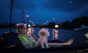 Texas flood Texas flood