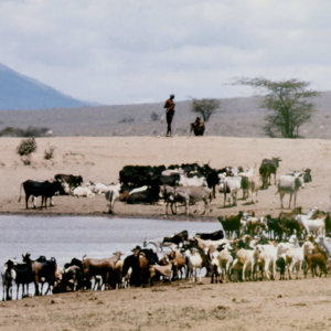 Kenya desert