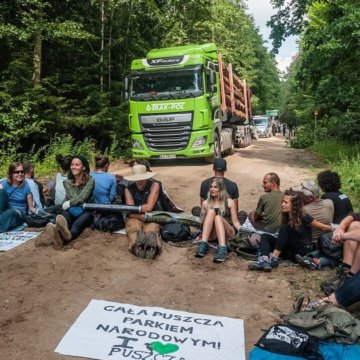 defendtheforest_poland defendtheforest_poland