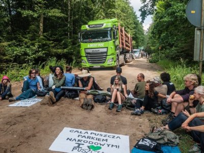 defendtheforest_poland defendtheforest_poland