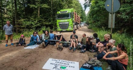 defendtheforest_poland defendtheforest_poland