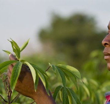 farmafrica farmafrica