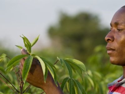 farmafrica farmafrica