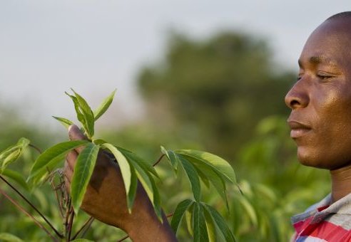 farmafrica farmafrica