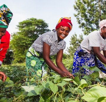 african femal farmer