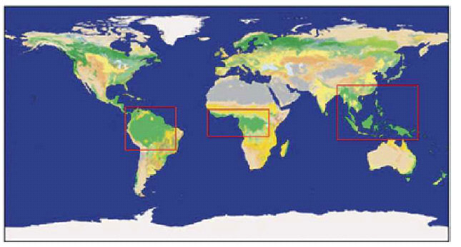 Ongoing and future deforestation of tropical regions. Ongoing and future deforestation of tropical regions.