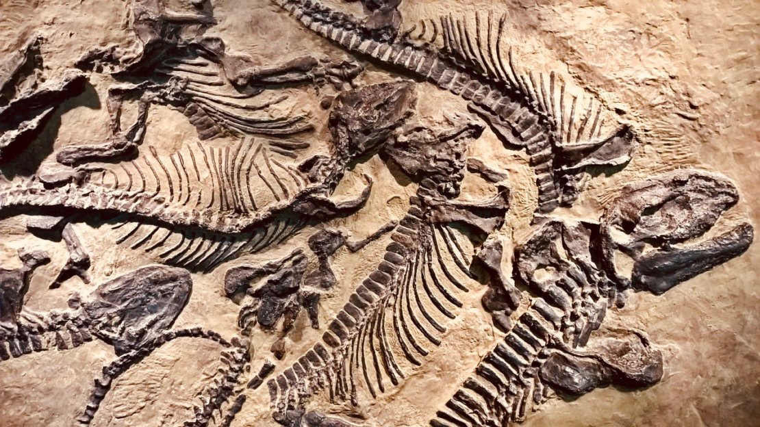 when were the first dinosaur fossils discovered