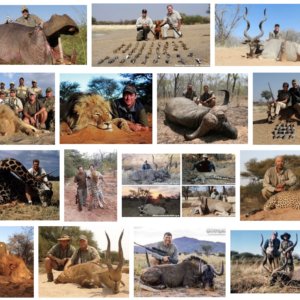 hunting rhino africa 2