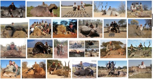 hunting rhino africa 2
