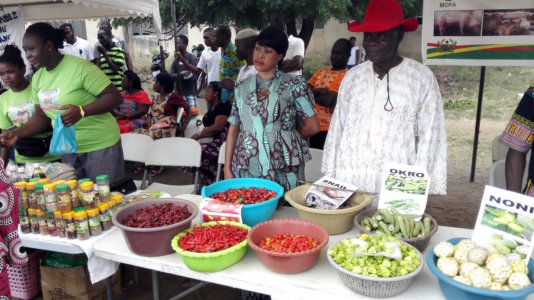 Under a “one village, one dam policy”, the production methods of more than half of Ghanaians working in agriculture are aimed to be made more efficient and possible all year-round. Under a “one village, one dam policy”, the production methods of more than half of Ghanaians working in agriculture are aimed to be made more efficient and possible all year-round.