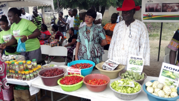 Under a “one village, one dam policy”, the production methods of more than half of Ghanaians working in agriculture are aimed to be made more efficient and possible all year-round. Under a “one village, one dam policy”, the production methods of more than half of Ghanaians working in agriculture are aimed to be made more efficient and possible all year-round.