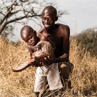 pangolin-man-adrian-steirn pangolin-man-adrian-steirn