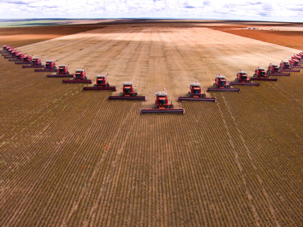 Soy bean harvest in Brazil. Soy is being used as nutrition for live stock. Soy bean harvest in Brazil. Soy is being used as nutrition for live stock.