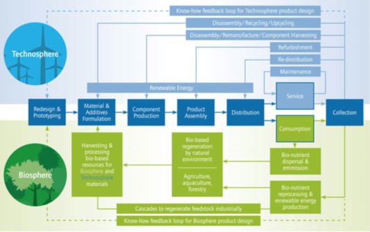 A Circular Economy powered by Cradle to Cradle: The Cradle to Cradle® design concept combined with the Circular Economy forms a future-proof strategy that brings together innovation and an increase in quality, working simultaneously at an economic, social and ecological level.