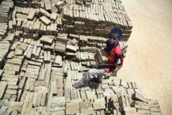 child labour zimbabwe