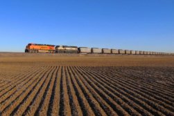 coal coal