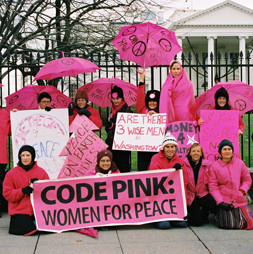 codepinkk codepinkk