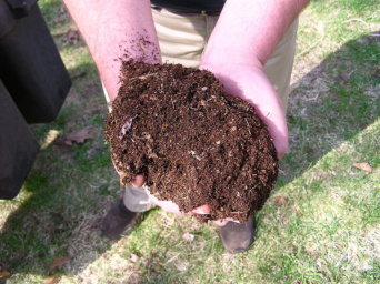 compost compost