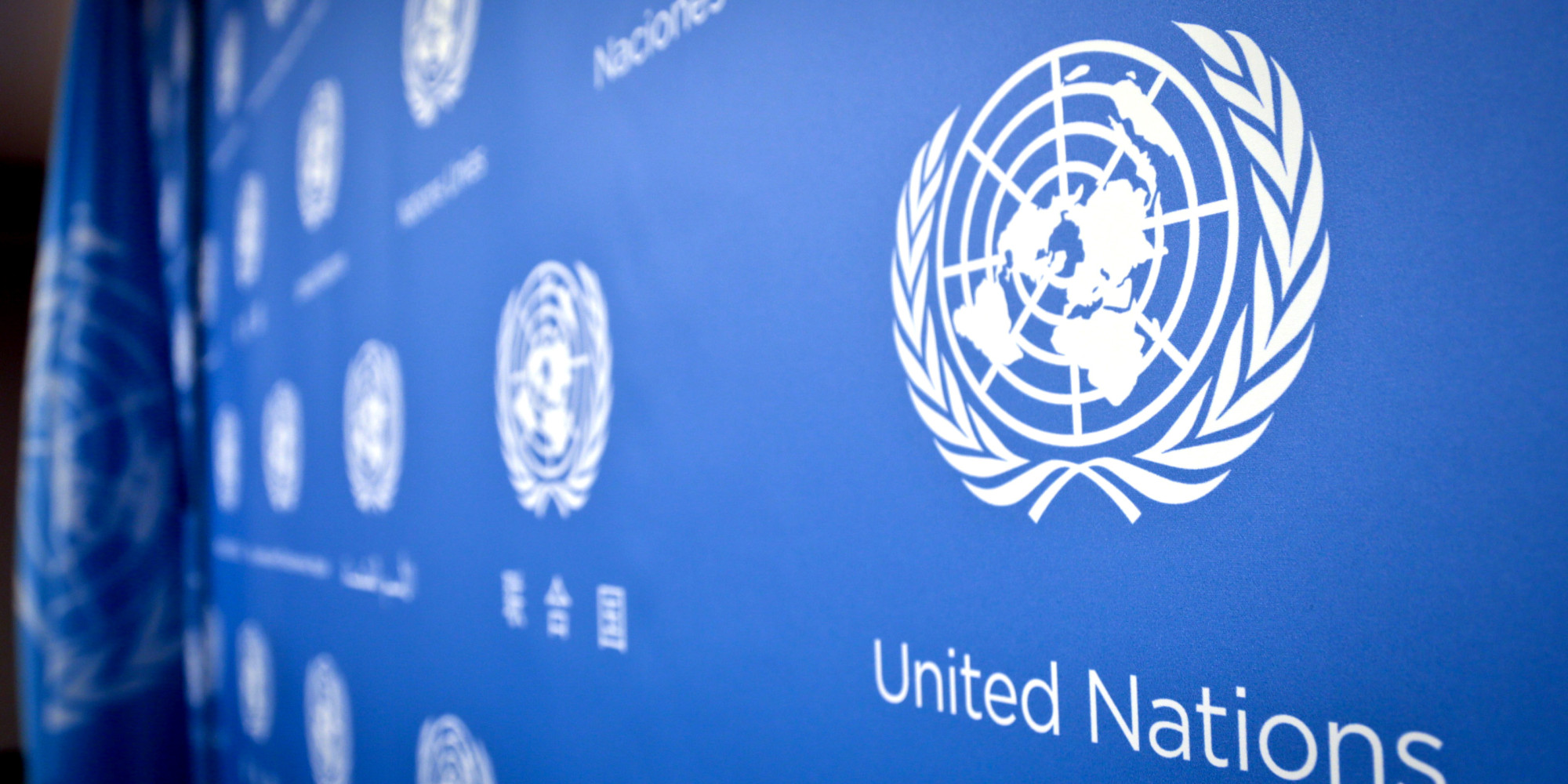 Will the real UN please stand up? | FairPlanet
