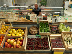 Ecological Farmers Supermarket in Lyon Ecological Farmers Supermarket in Lyon