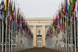 UnitedNations UnitedNations