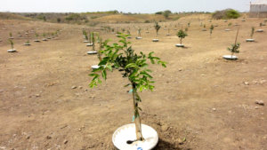 africa 2019 africa 2019