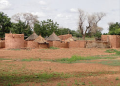africa africa