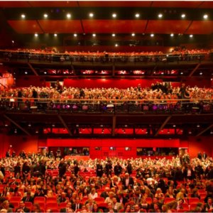 berlinale auditorium