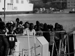italy migrans italy migrans