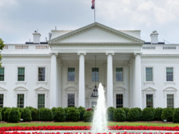 white house white house