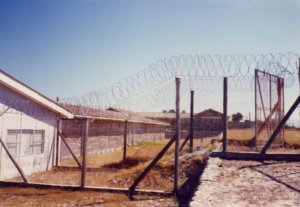 africa torture