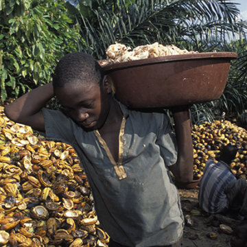 cocoa ghana child labour