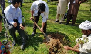green pakistan green pakistan