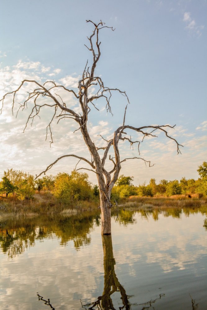 Lake Kariba at the border of Zambia and Zimbabwe.